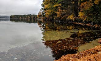 Camping near Clearwater Campground: Squam Lakes Association, Center Harbor, New Hampshire