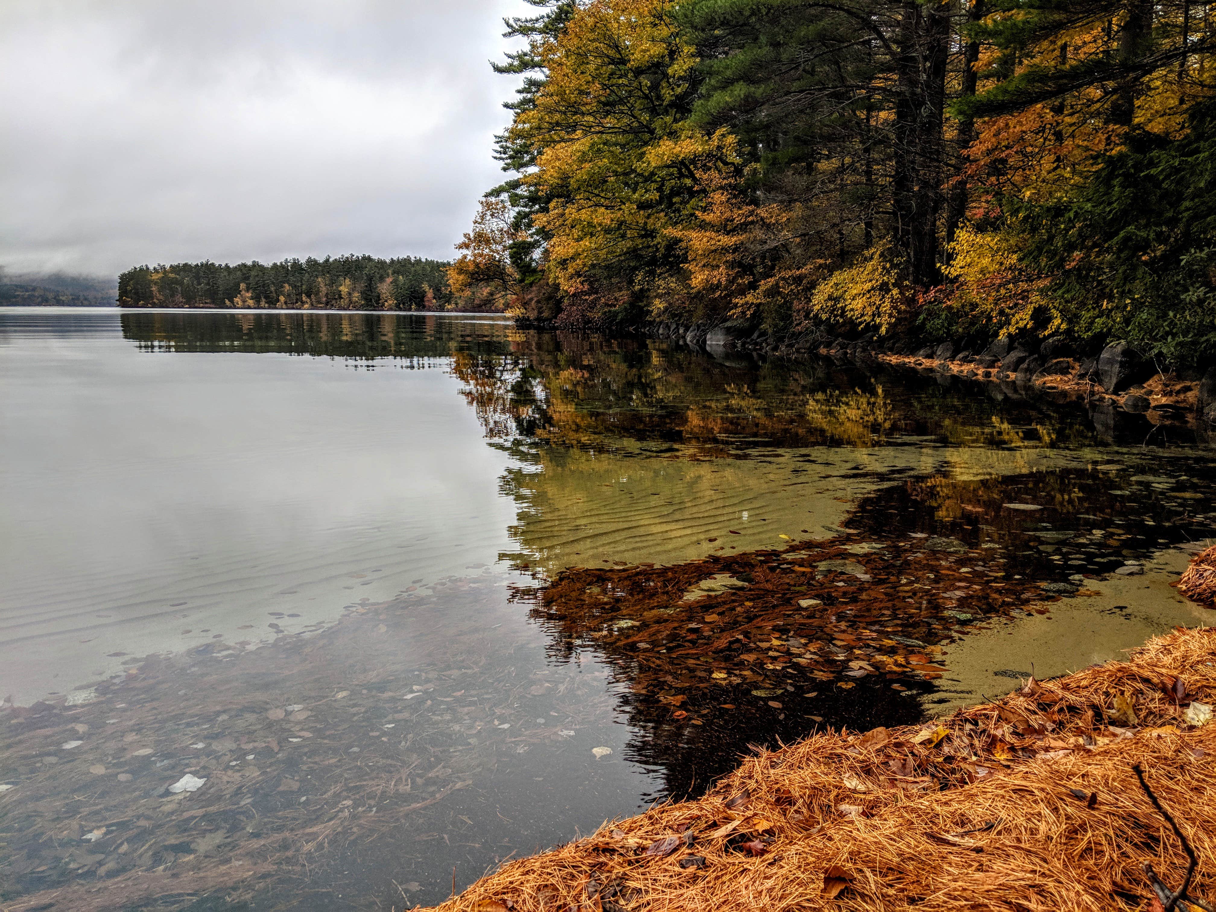 Camper submitted image from Squam Lakes Association - 1