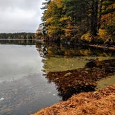 Review photo of Squam Lakes Association by Shari  G., October 29, 2018