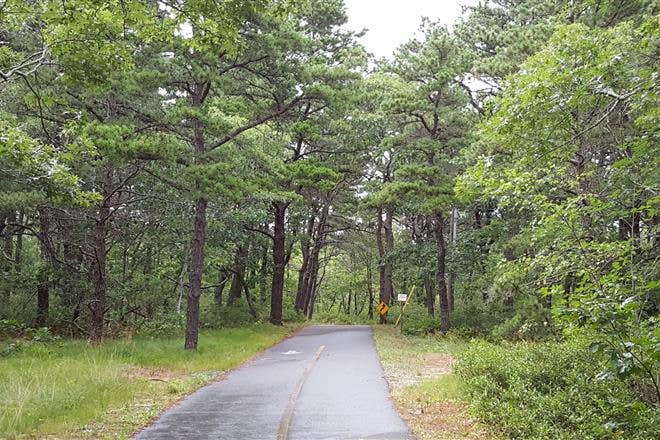 Camper submitted image from Michigamme Shores Campground - 3