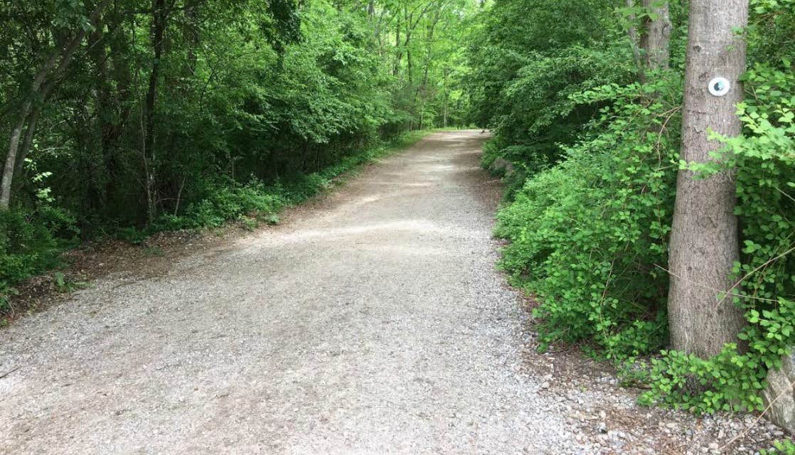 Camper submitted image from Michigamme Shores Campground - 4