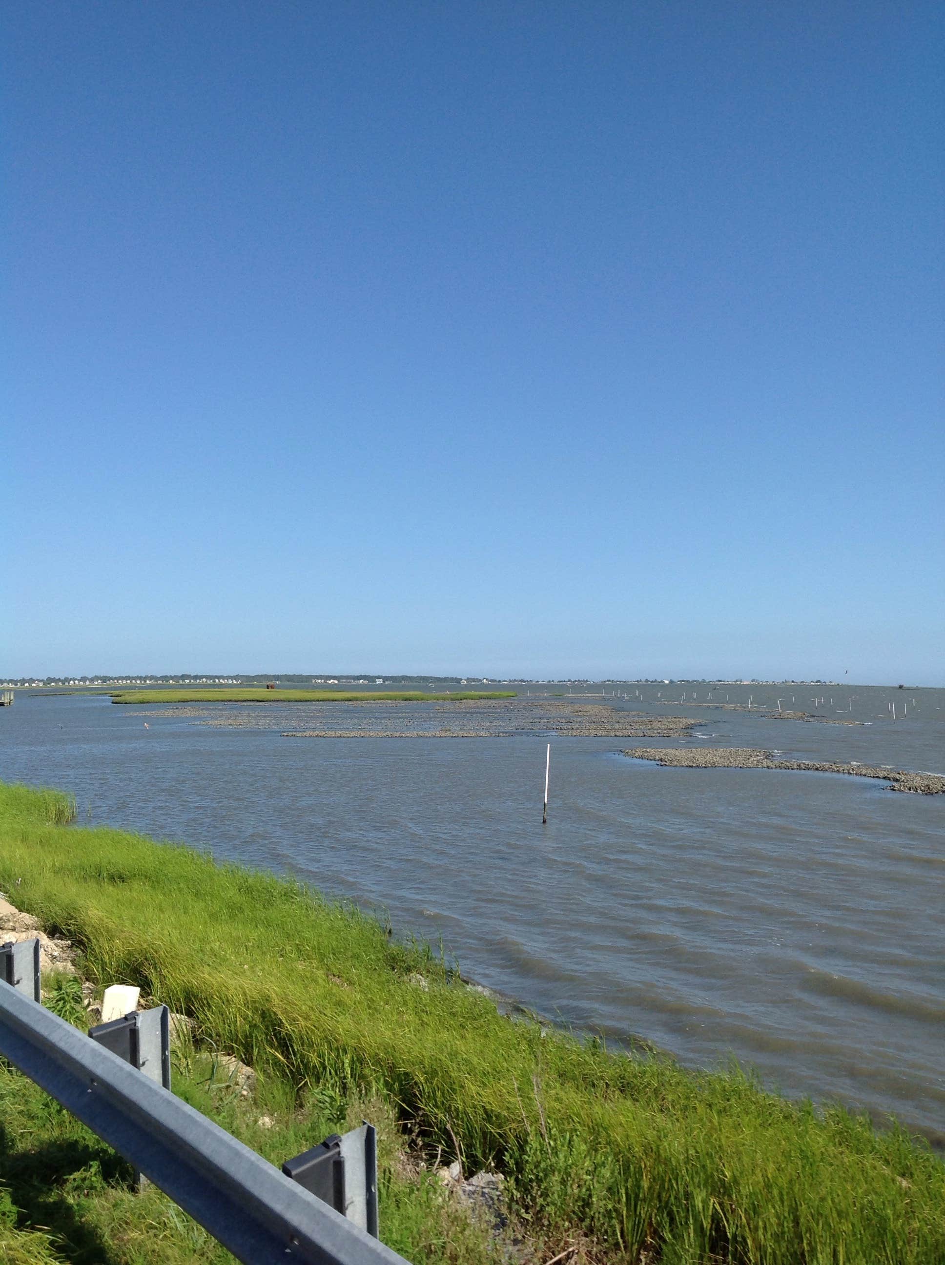 Camper-submitted photo at Tom's Cove Park near Assateague Island National Seashore