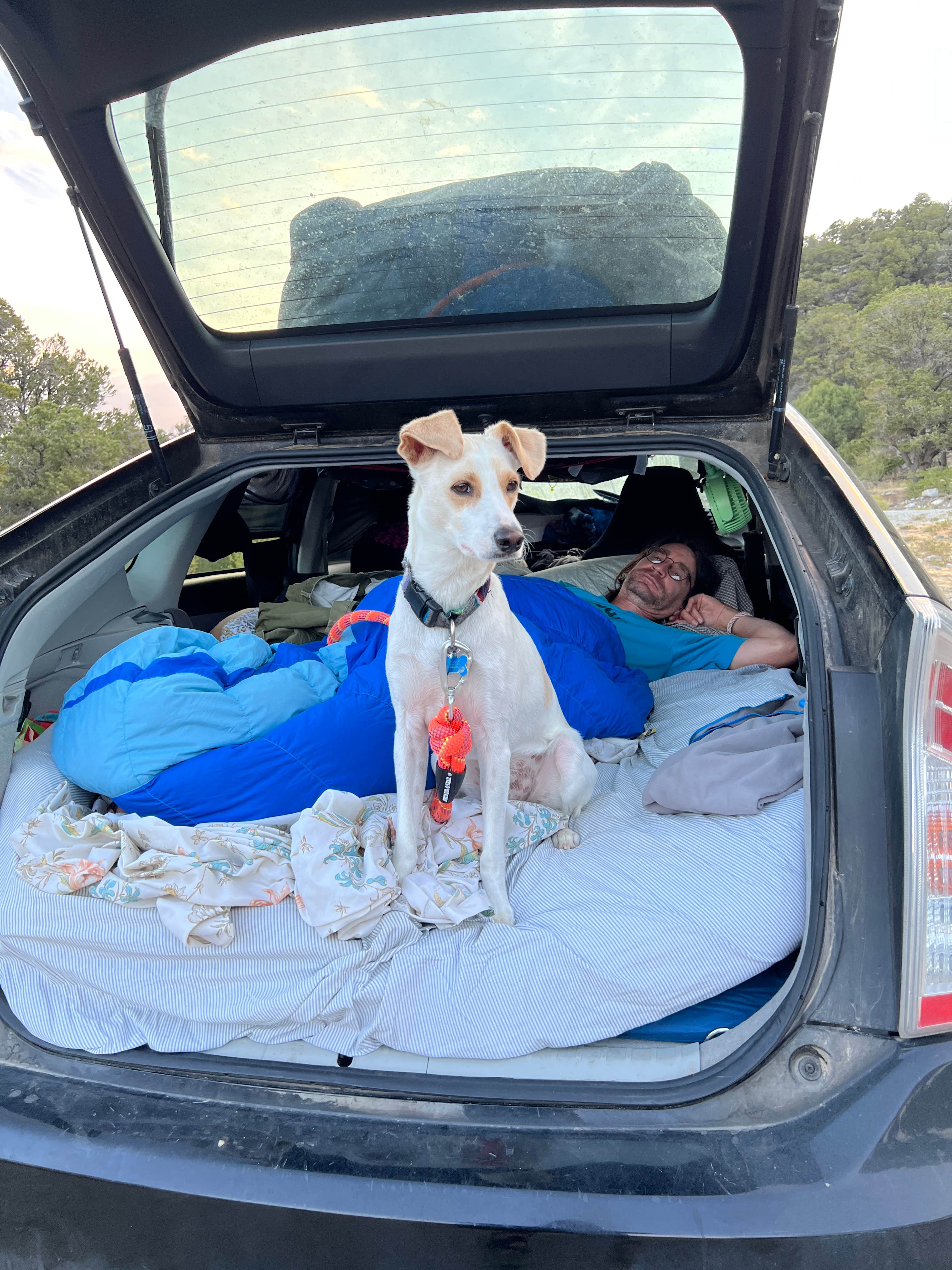Randall K.'s photo of camping with pets at Zapata Falls Campground near Alamosa, CO