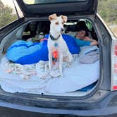 Review photo of Zapata Falls Campground by Randall K., August 22, 2023