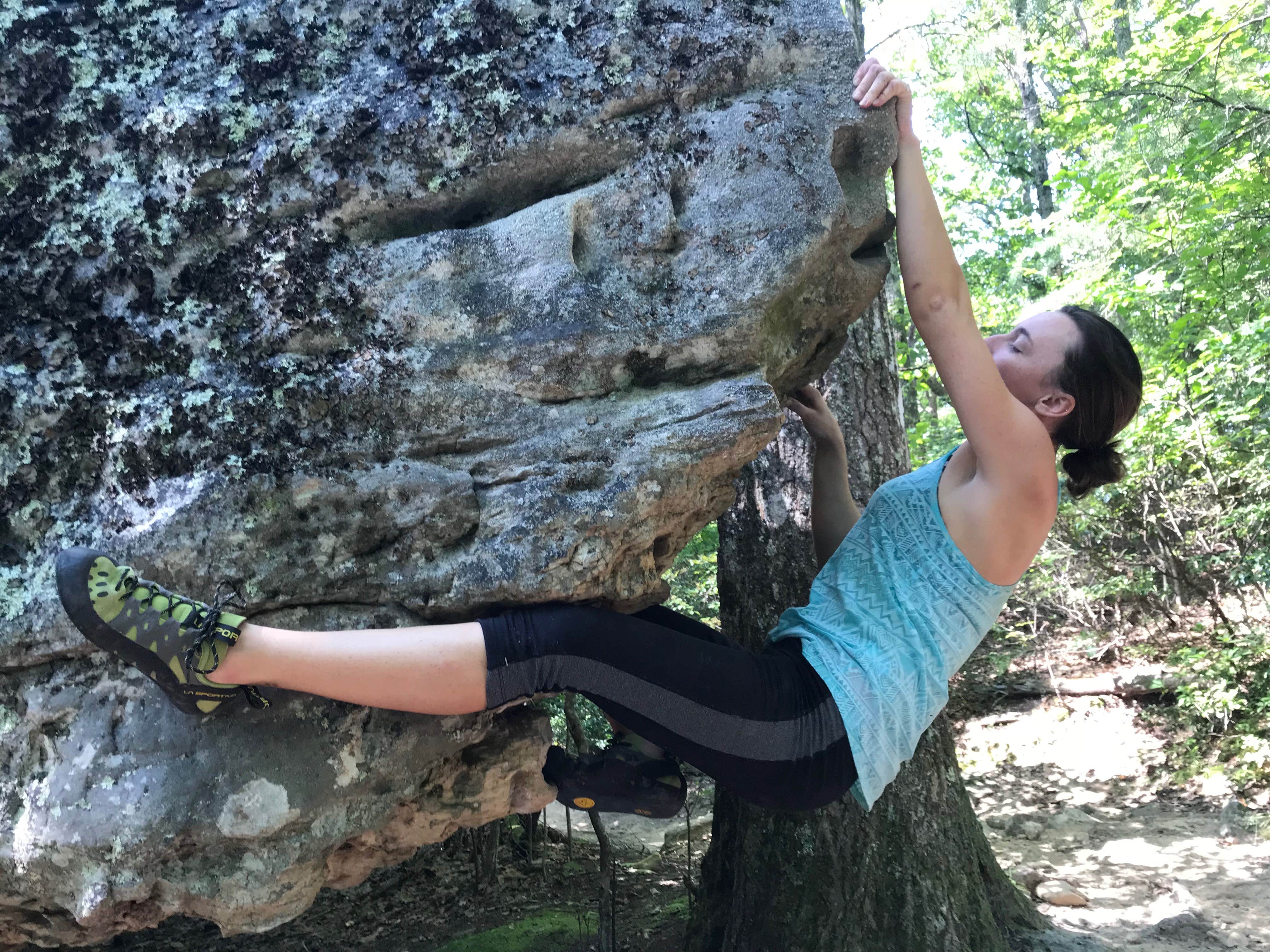 Camper submitted image from Johns Spring Shelter — Appalachian National Scenic Trail - 2