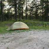 Review photo of Cold Springs School Road - Forest Road Pull Out by Scott S., August 22, 2023