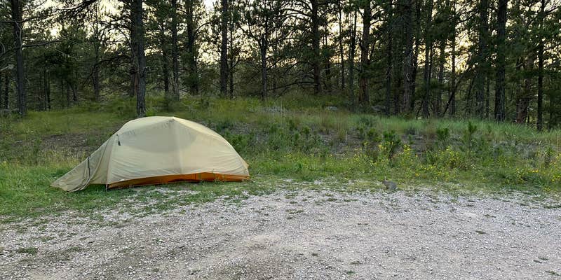 Camper submitted image from Cold Springs School Road - Forest Road Pull Out