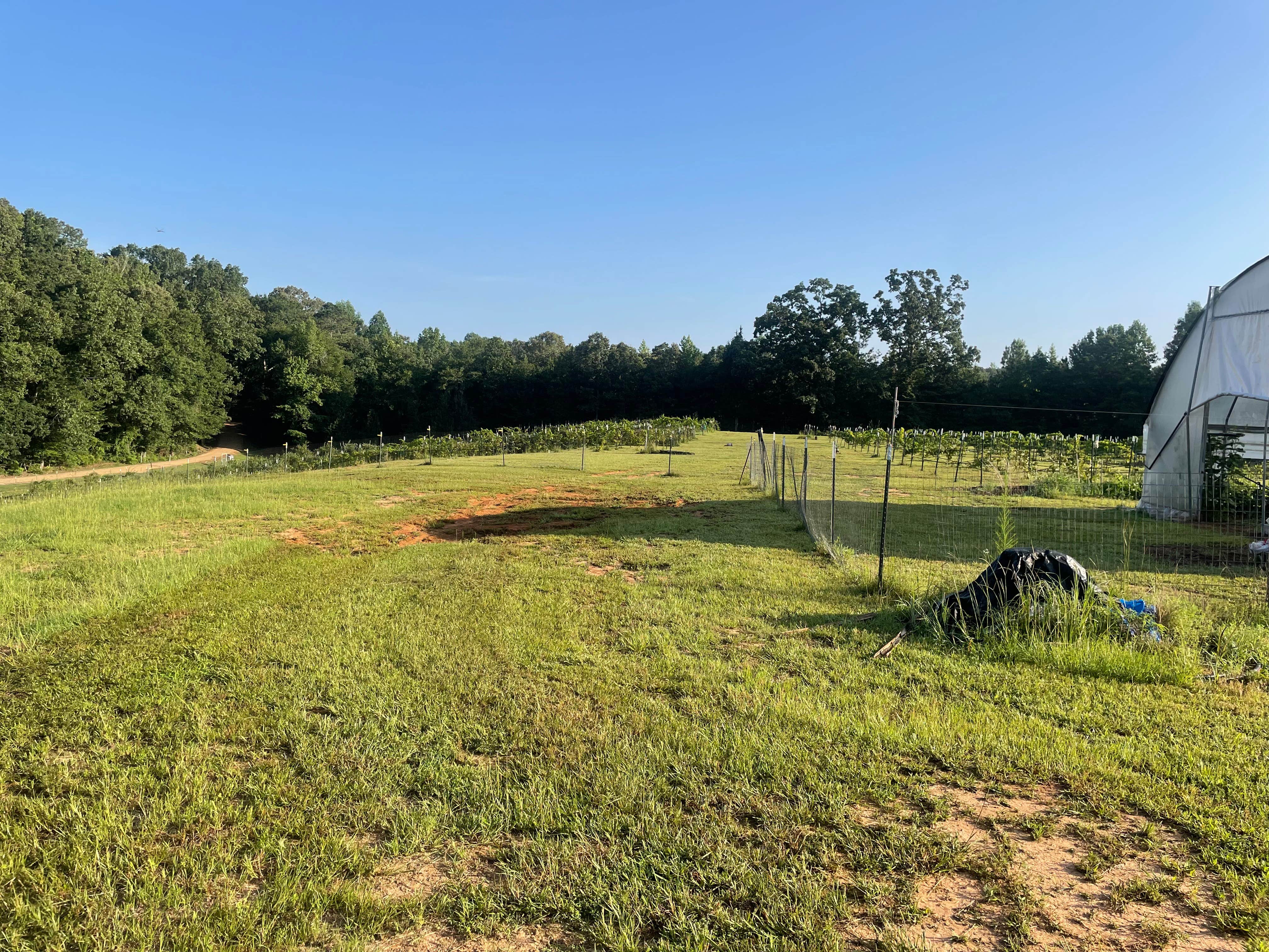 Ruth R.'s photo at Mississippi Art & wine gallery near Brooksville, MS