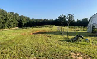 Ruth R.'s photo at Mississippi Art & wine gallery near Tennessee-Tombigbee Waterway