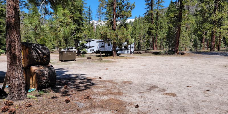 Camper submitted image from Sand Flat Campground