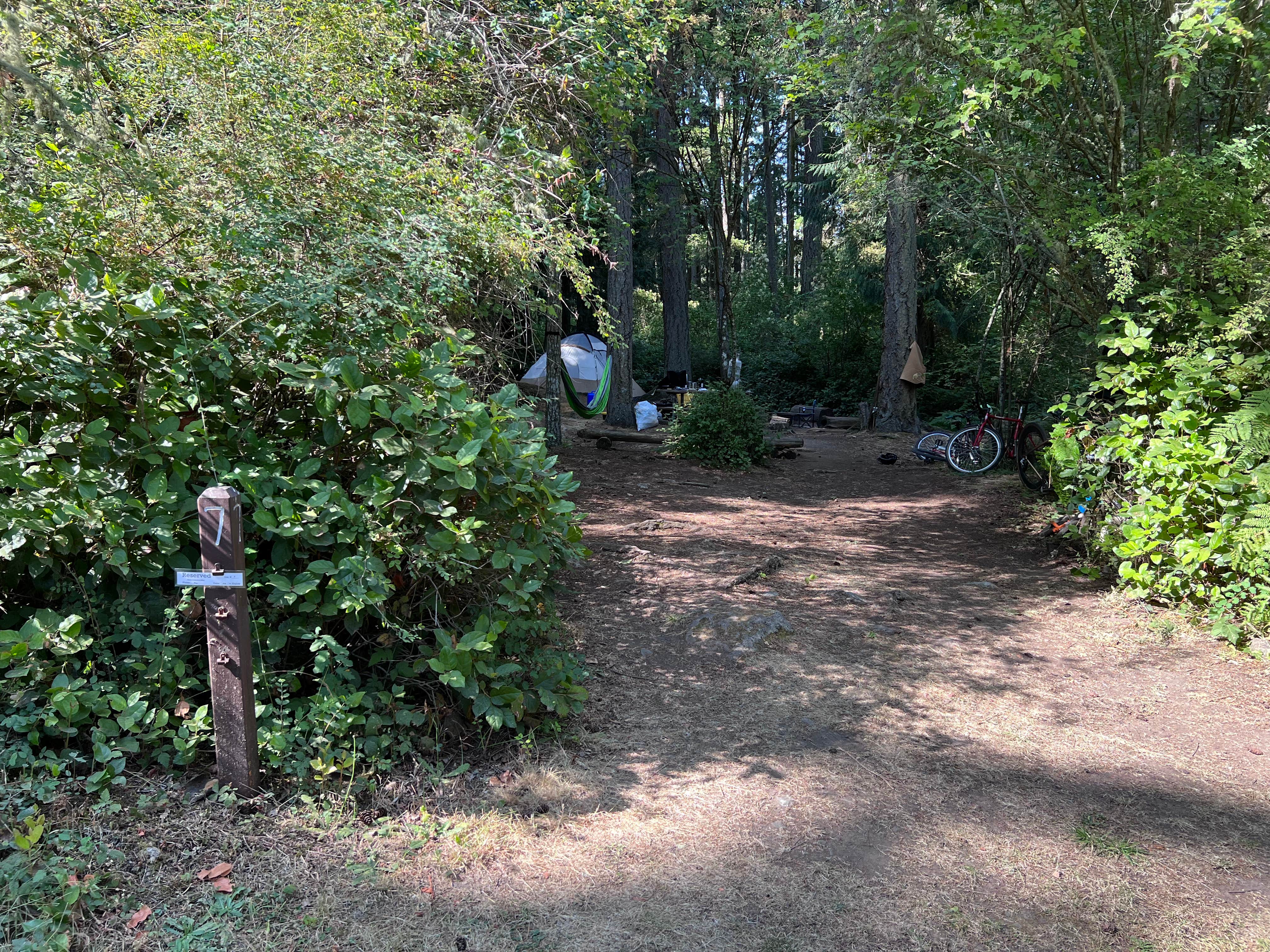 Camping near San Juan County Fairgrounds: Shaw Island County Park, Lopez Island, Washington