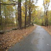 Review photo of Popple Campground — Sleeping Bear Dunes National Lakeshore by Ashley W., October 29, 2018