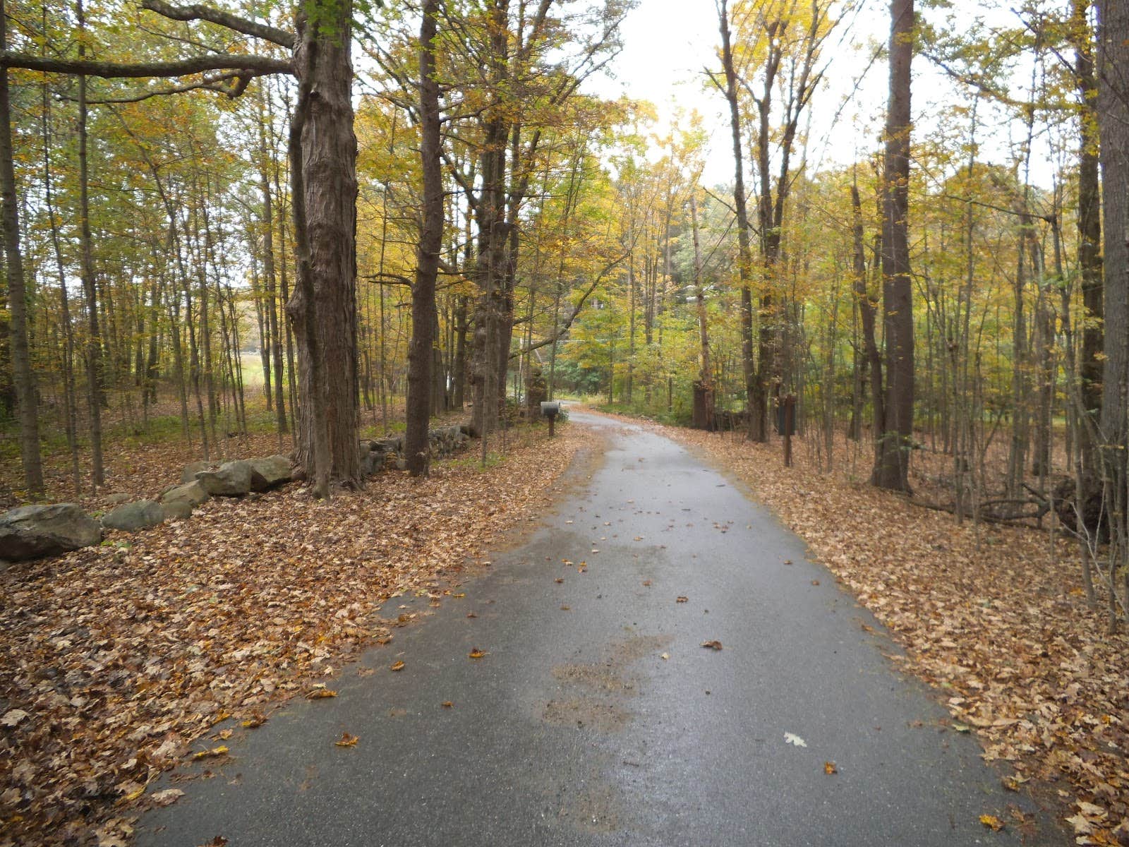 Camper submitted image from Popple Campground — Sleeping Bear Dunes National Lakeshore - 2