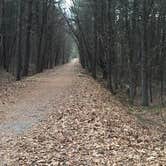 Review photo of Popple Campground — Sleeping Bear Dunes National Lakeshore by Ashley W., October 29, 2018