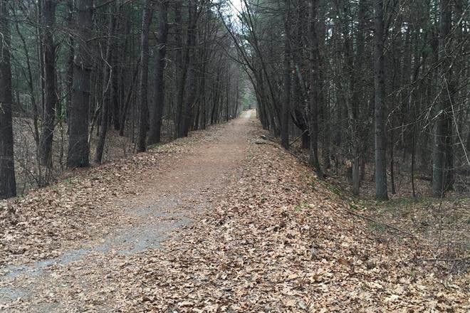 Camper submitted image from Popple Campground — Sleeping Bear Dunes National Lakeshore - 5