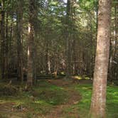 Review photo of Popple Campground — Sleeping Bear Dunes National Lakeshore by Ashley W., October 29, 2018