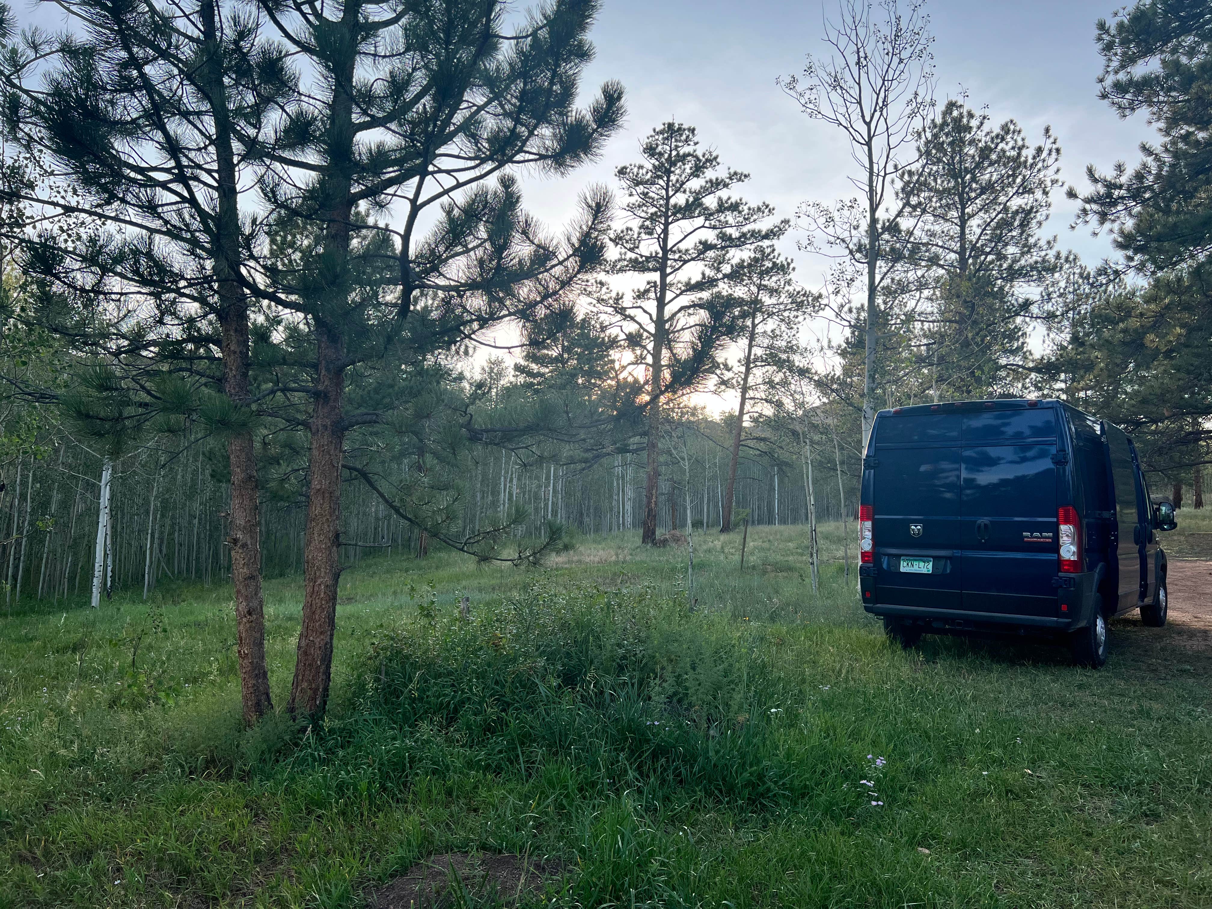Camper-submitted photo at Matukat Road Dispersed Camping near Buffalo Creek, CO