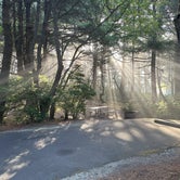 Review photo of Tillicum Beach Campground by Patrick W., August 23, 2023