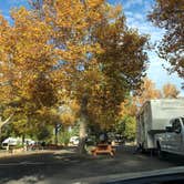 Review photo of Friendly RV Park by Alicia F., October 29, 2018