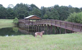 Amy A.'s photo of camping with pets at Bama Bison Farm near West Point Lake
