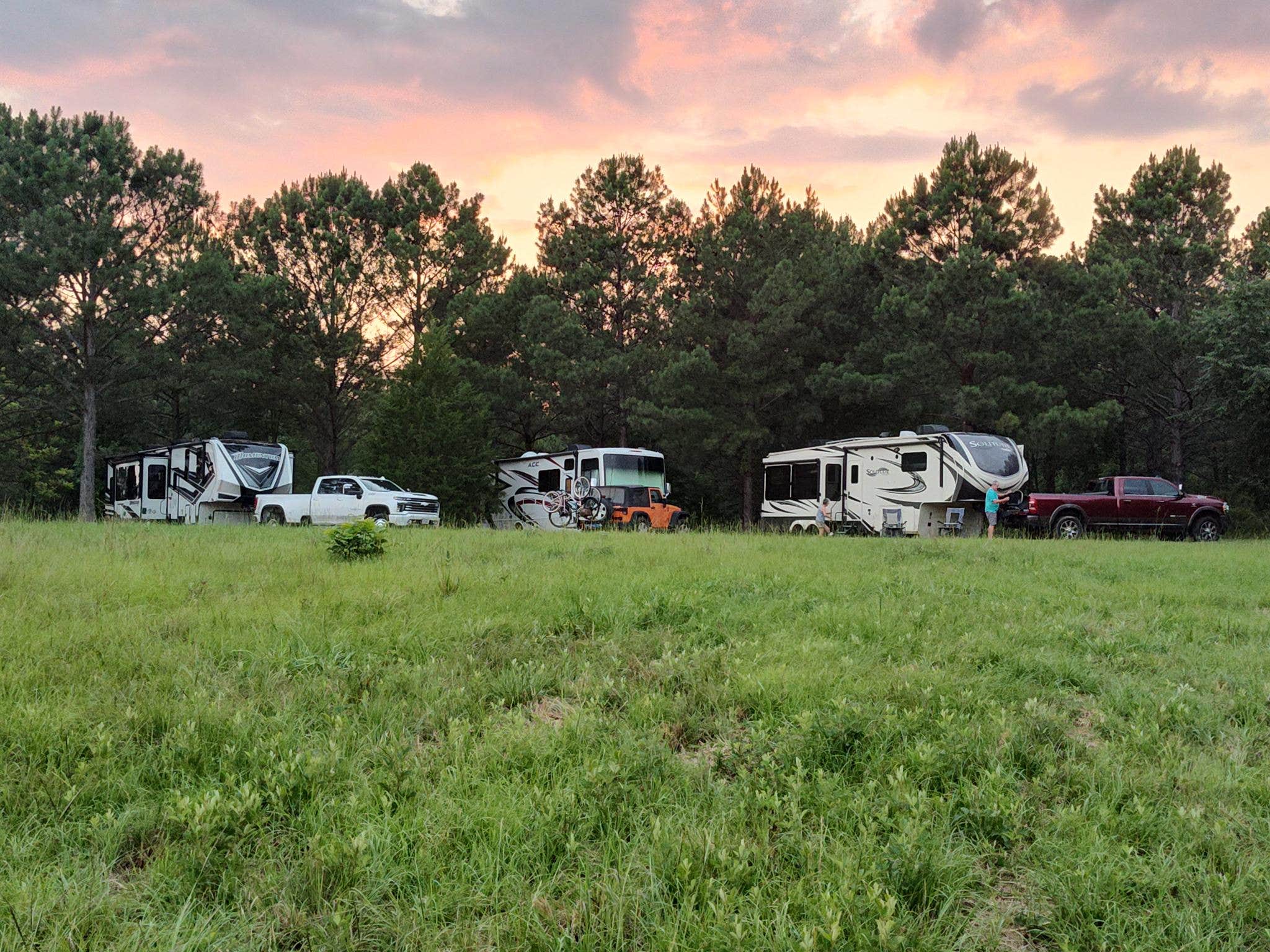 Amy A.'s photo at Bama Bison Farm near Tuskegee, AL