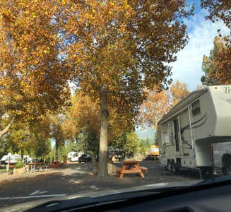 Camper-submitted photo from Friendly RV Park