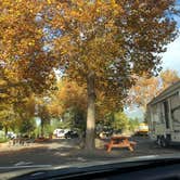 Review photo of Friendly RV Park by Alicia F., October 29, 2018