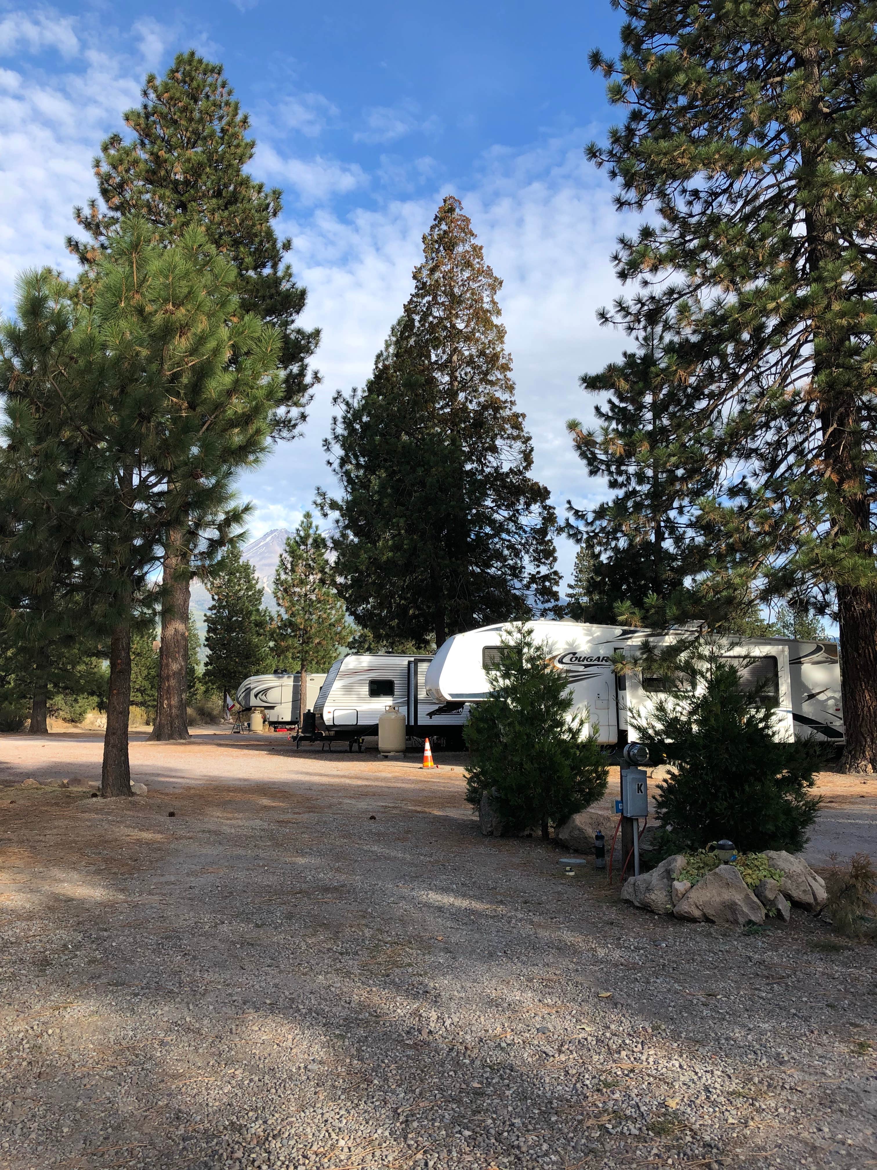 Camper-submitted photo at Friendly RV Park near McCloud, CA