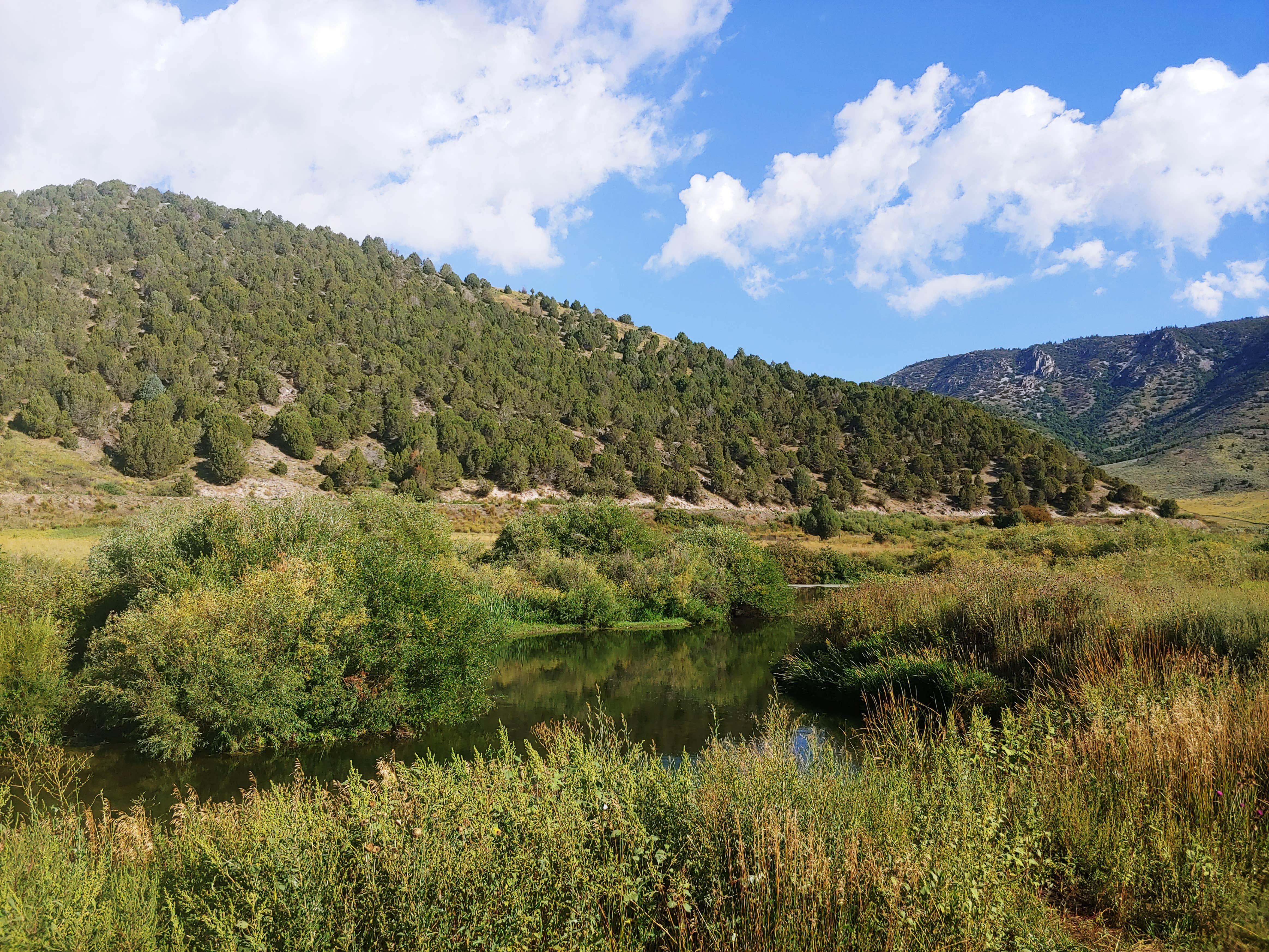Camper-submitted photo at Portneuf River Lower Sportsman Access near Soda Springs, ID