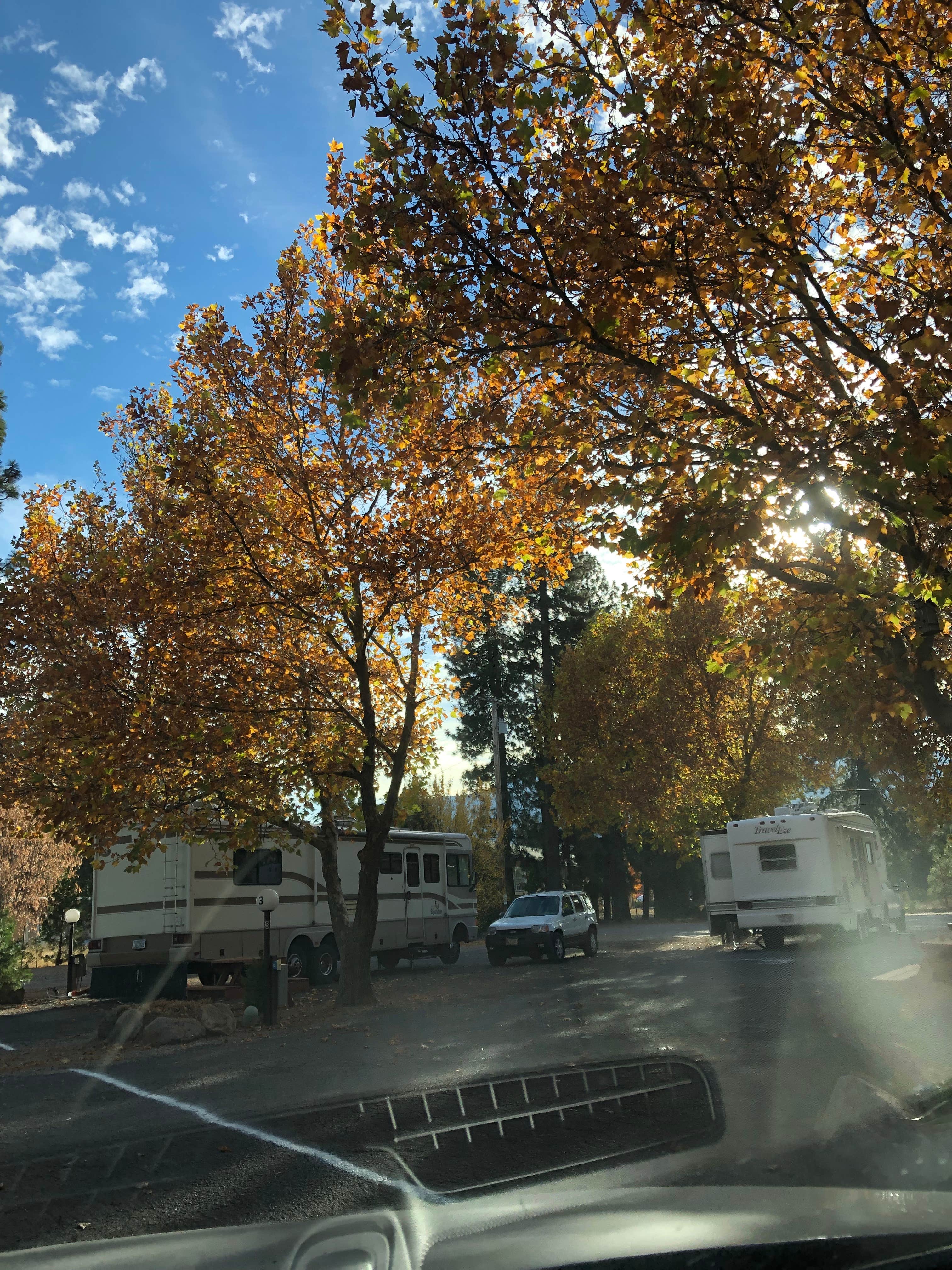 Camper-submitted photo at Friendly RV Park near McCloud, CA