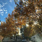 Review photo of Friendly RV Park by Alicia F., October 29, 2018