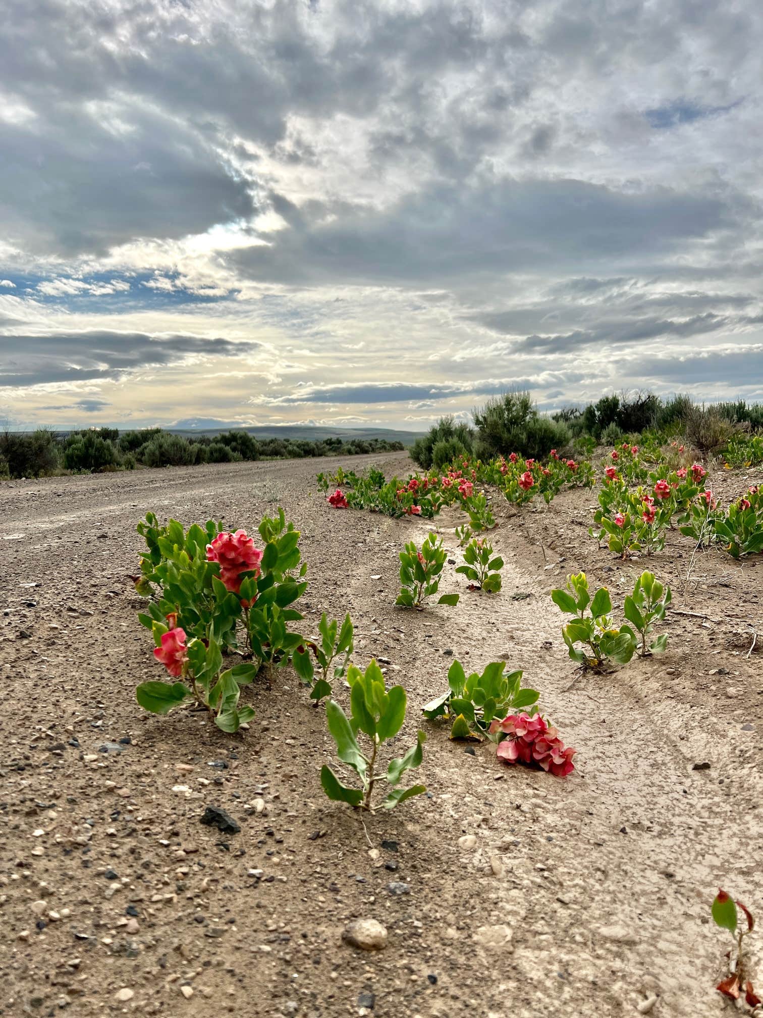 Camper submitted image from Oregon Outback RV Park - 3