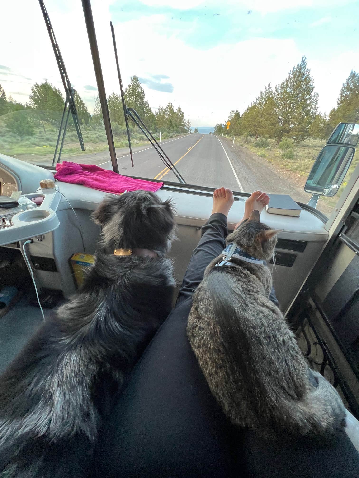 Cherie C.'s photo of camping with pets at Oregon Outback RV Park near Summer Lake, OR