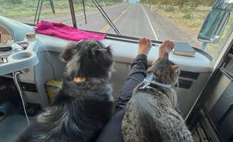 Cherie C.'s photo of camping with pets at Oregon Outback RV Park near Lakeview, OR