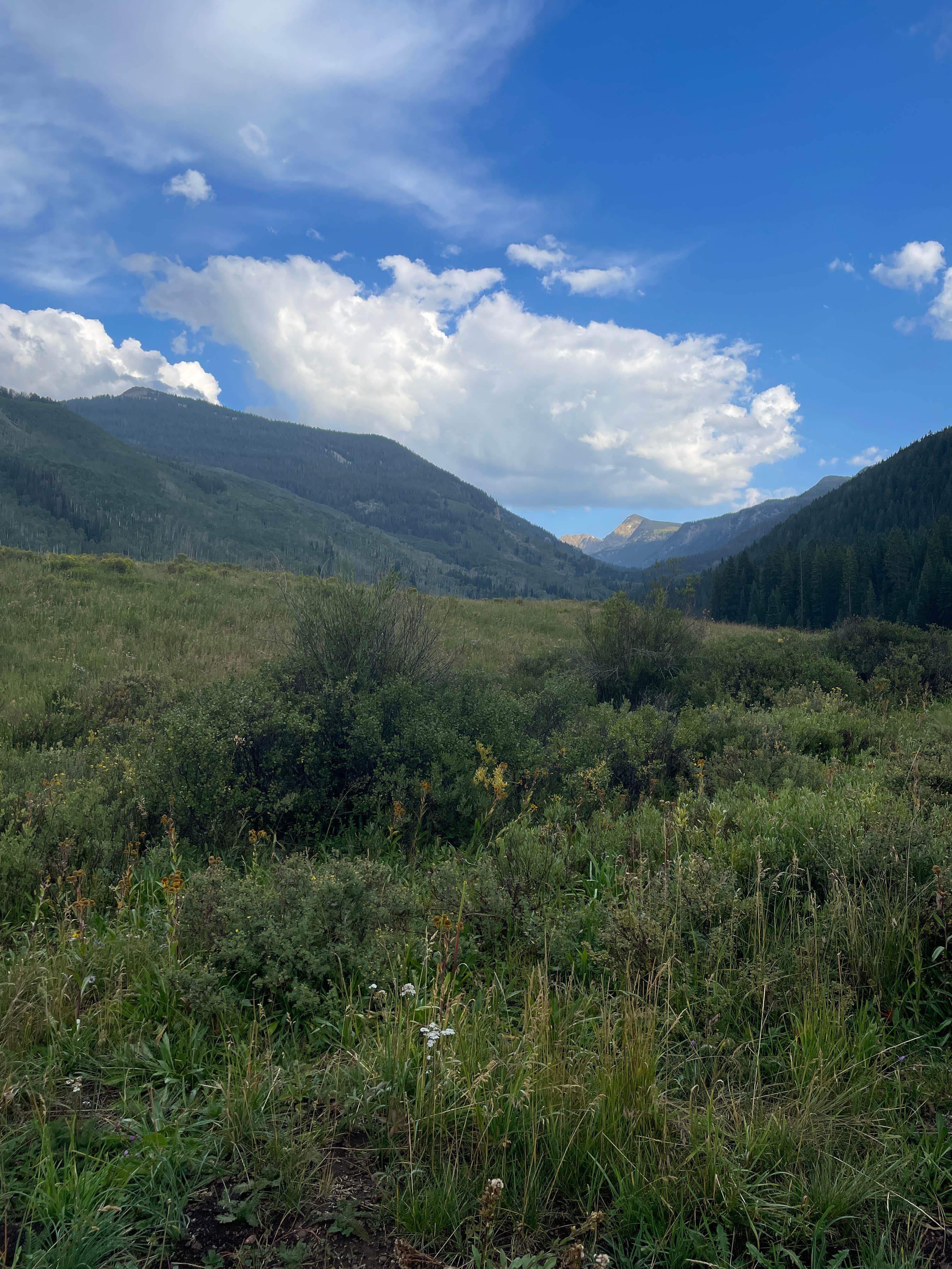 Dominik D.'s photo of a dispersed camping area at Yeoman Park near Carbondale, CO