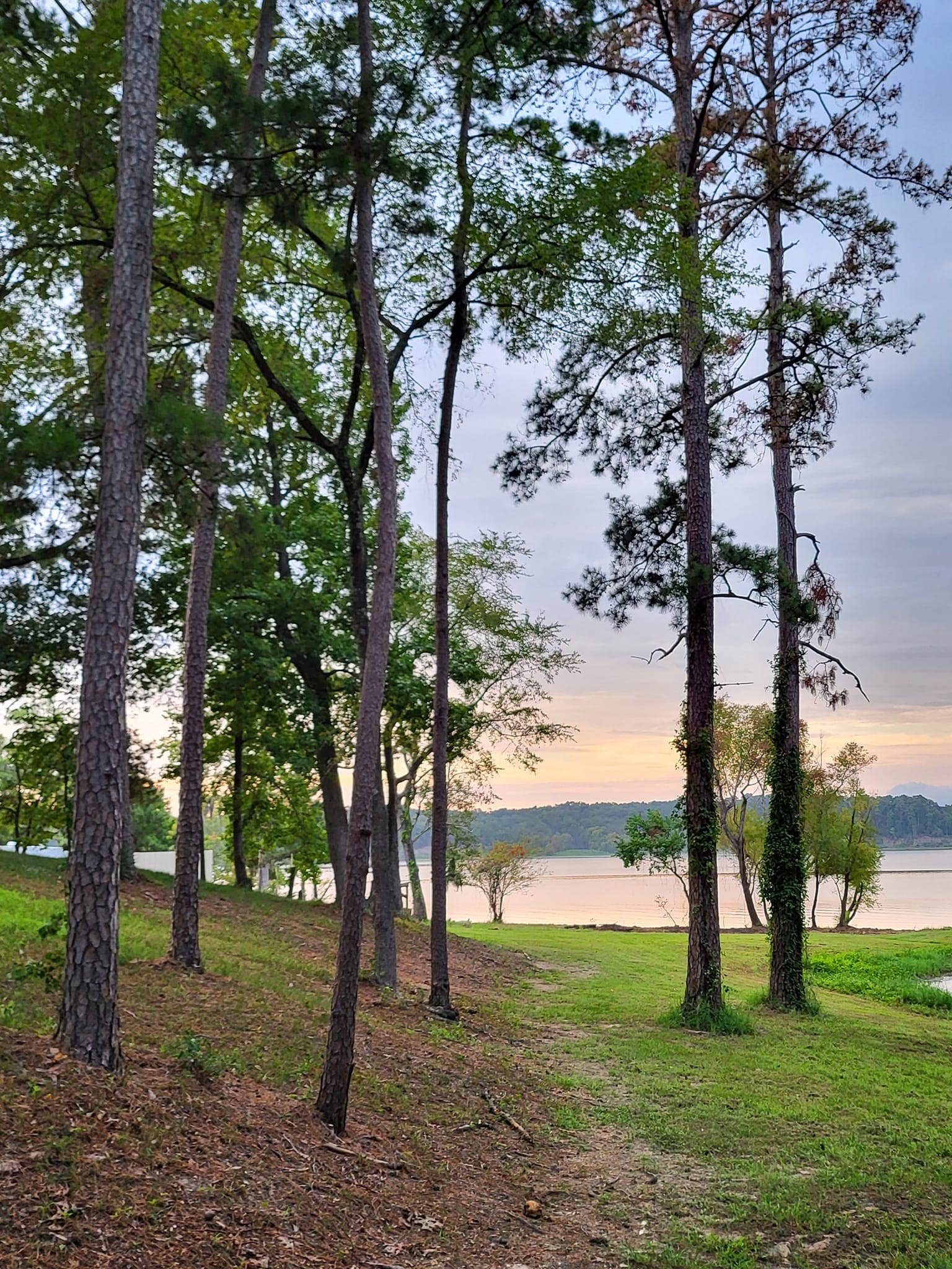 Camper-submitted photo at Shirley Creek Marina & Campground near Alto, TX