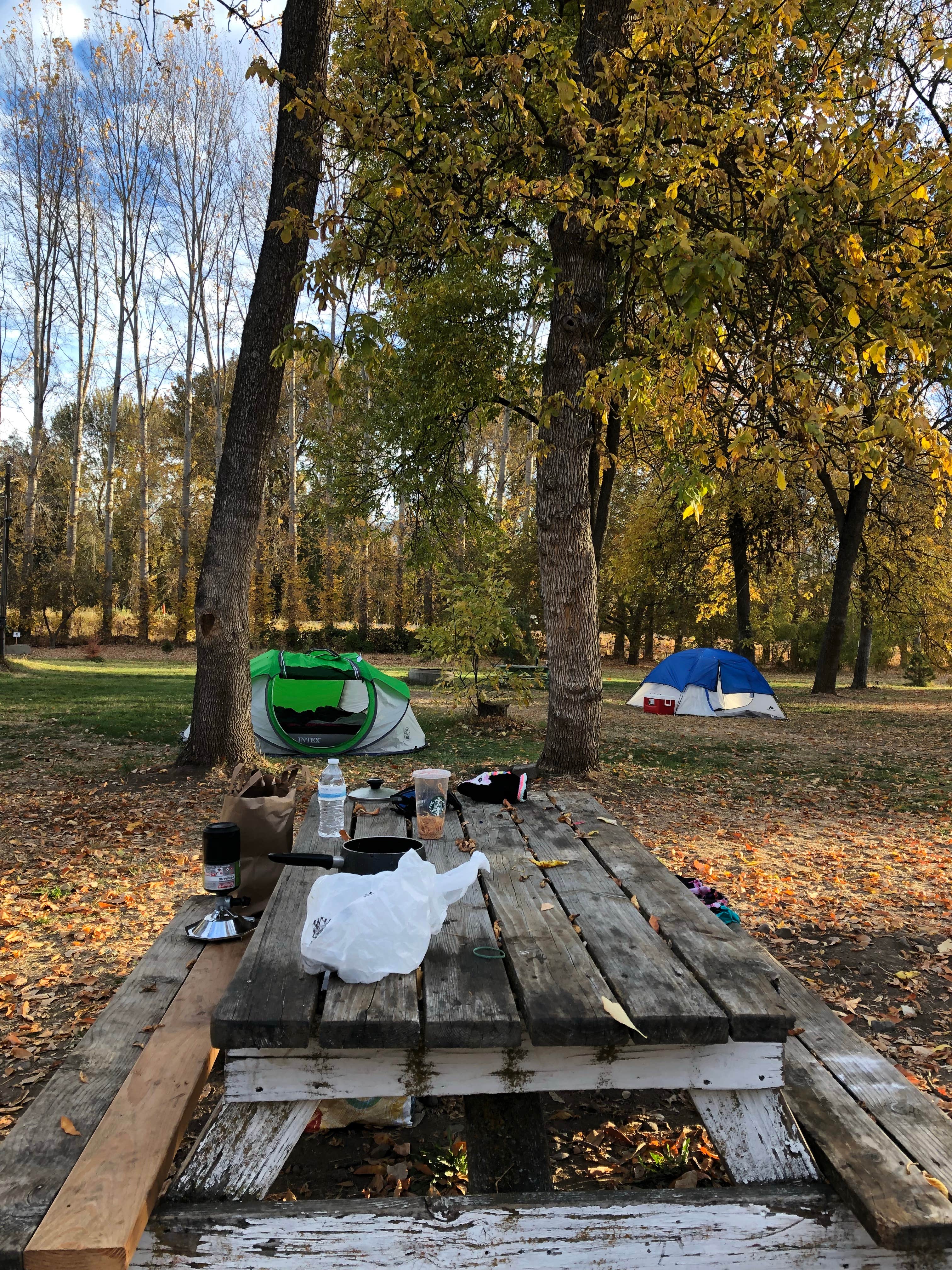 Camper submitted image from Jackson Wellsprings - 3