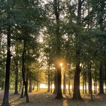 Camper-submitted photo at Shirley Creek Marina & Campground near Alto, TX