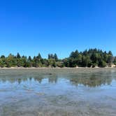 Review photo of Bay Center-Willapa Bay KOA by Patrick J., August 23, 2023