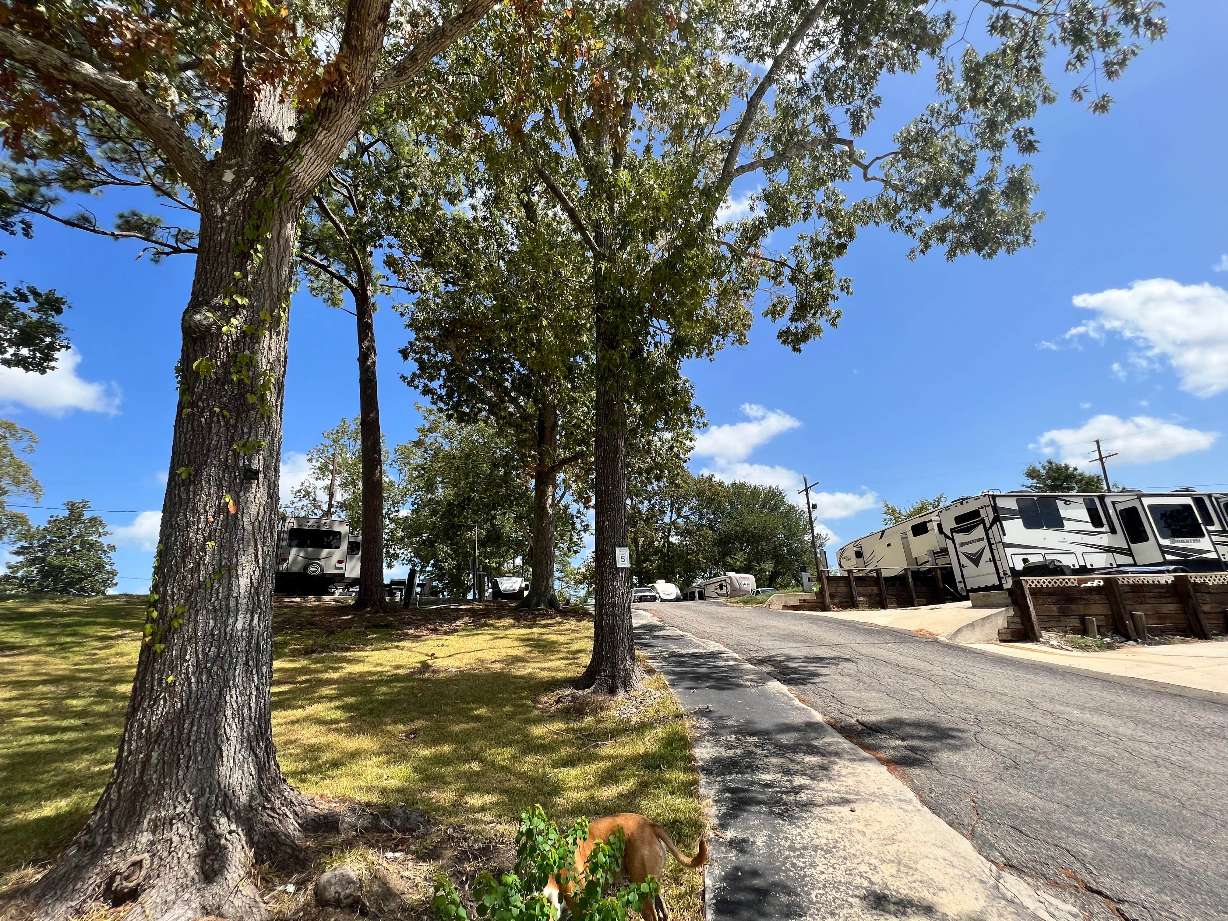 Michelle S.'s photo of camping with pets at Rio RV Park at Turtle Bayou near Lumberton, TX