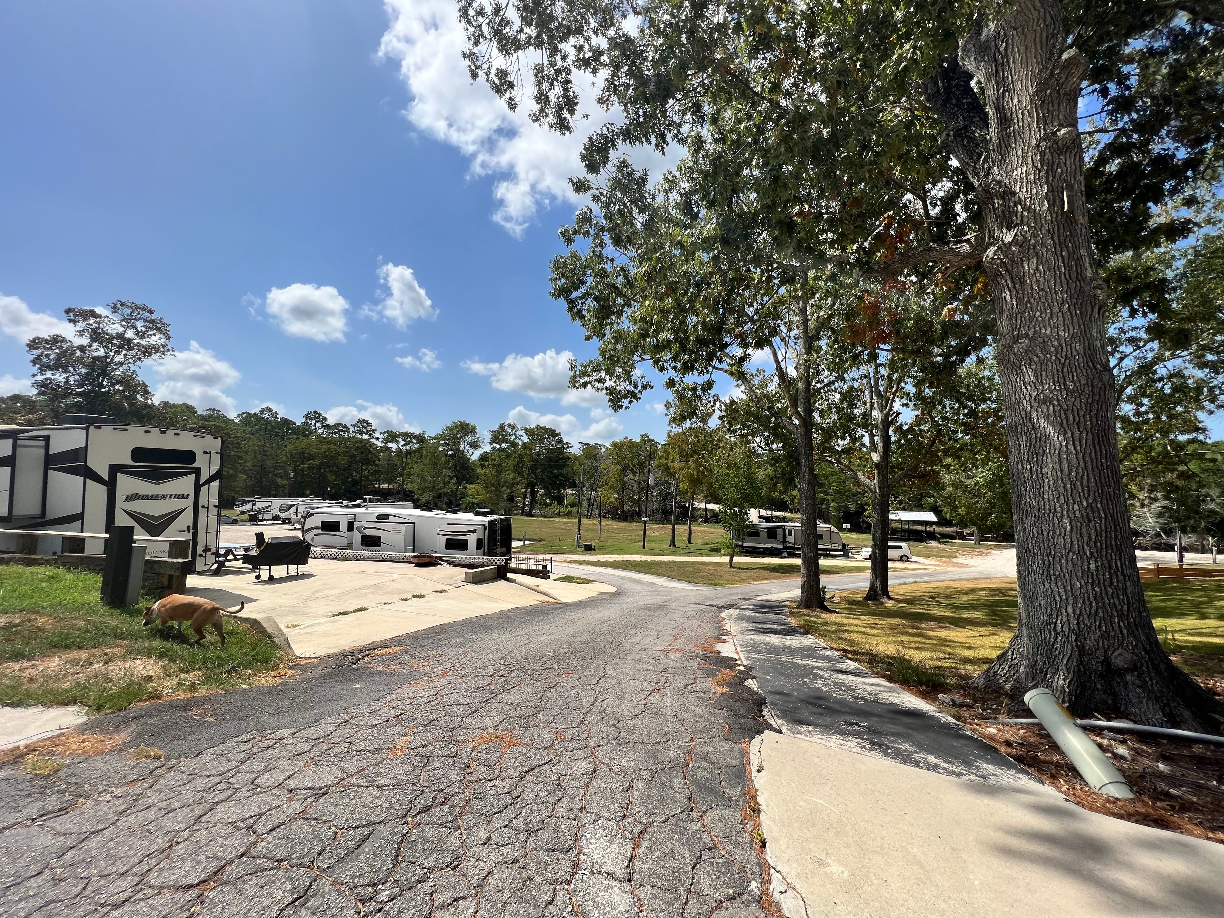 Camper submitted image from Rio RV Park at Turtle Bayou - 5