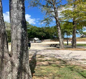 Camper-submitted photo from Rio RV Park at Turtle Bayou