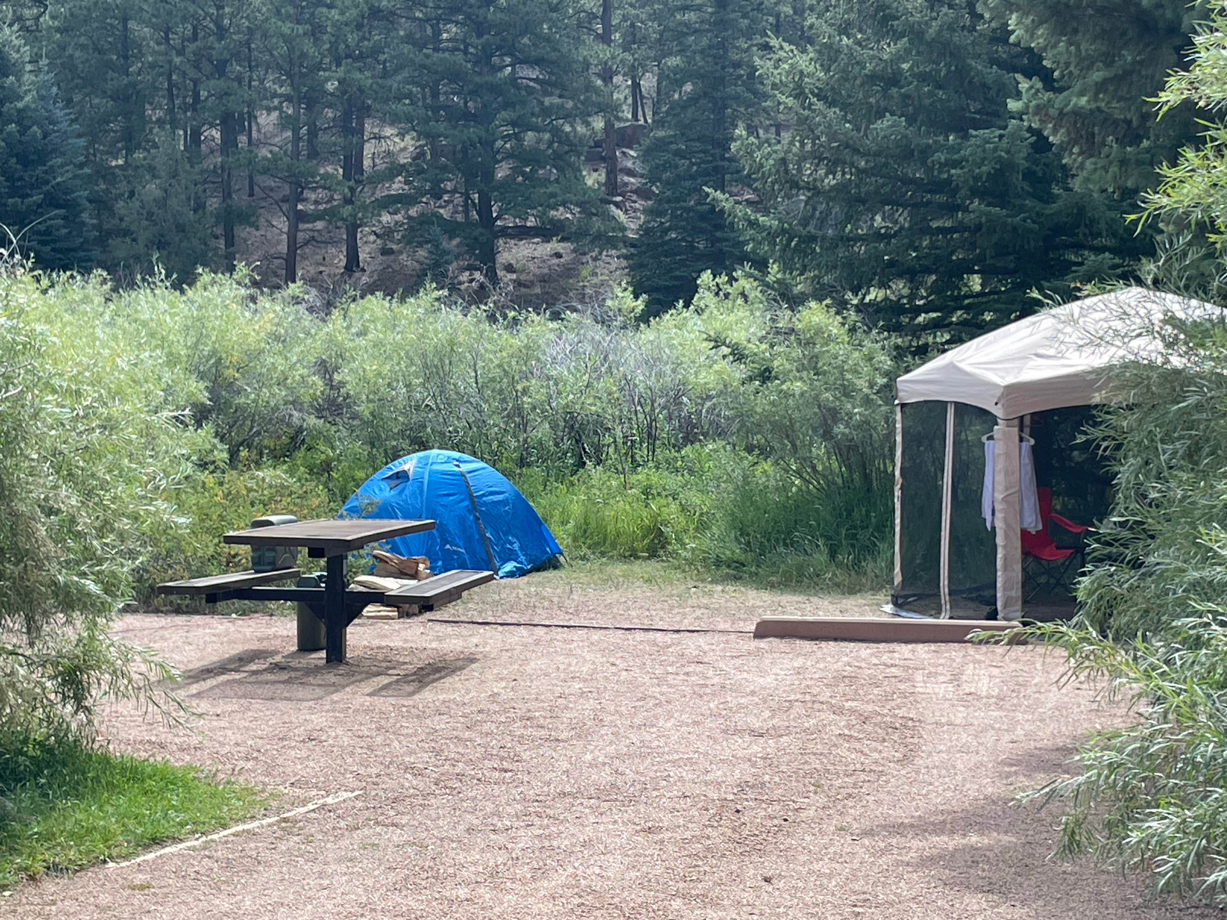 Camper-submitted photo at Happy Meadows near Hartsel, CO