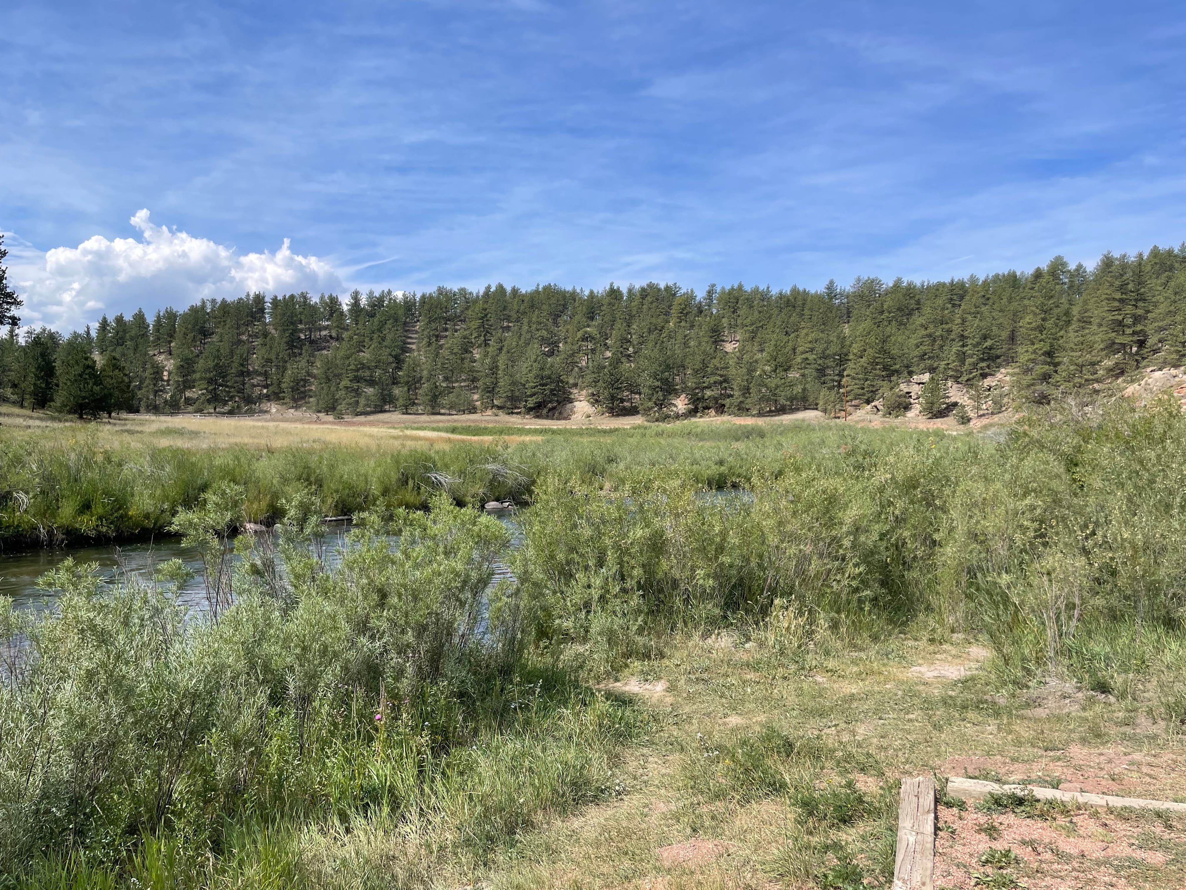 Camper-submitted photo at Happy Meadows near Hartsel, CO