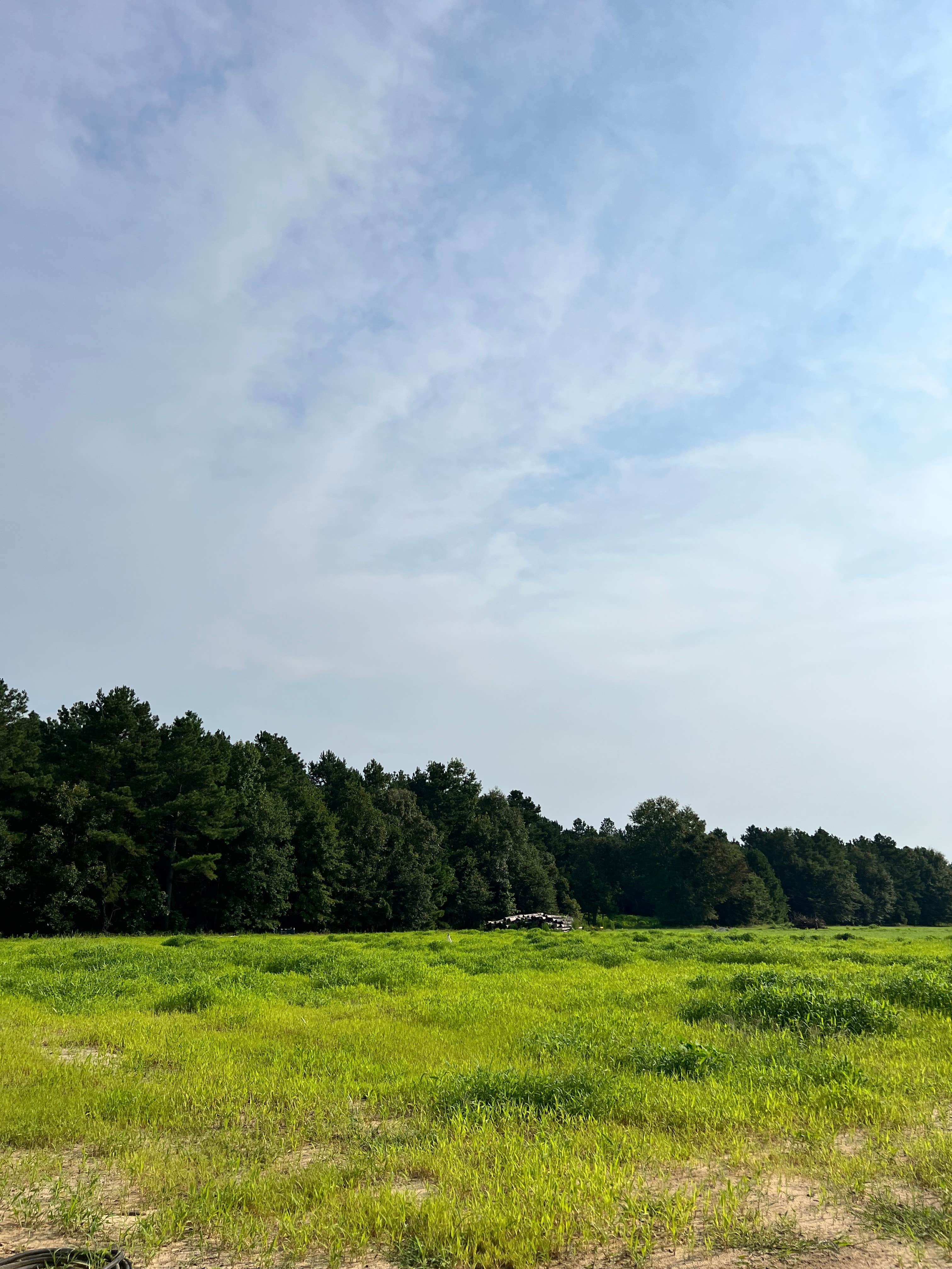 Camper-submitted photo at Outside Inn Campground near Orangeburg, SC