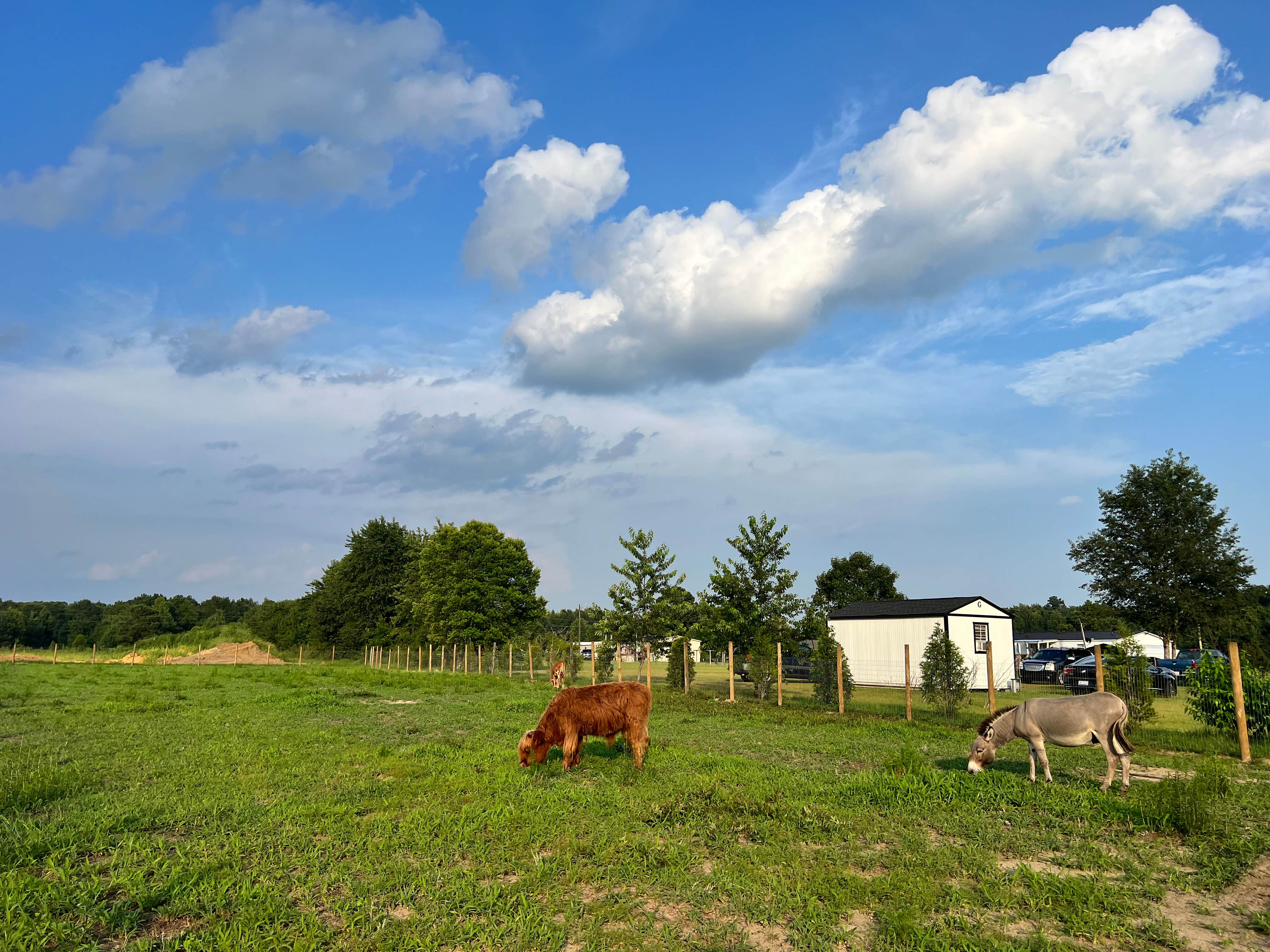 Camper-submitted photo at Outside Inn Campground near Orangeburg, SC