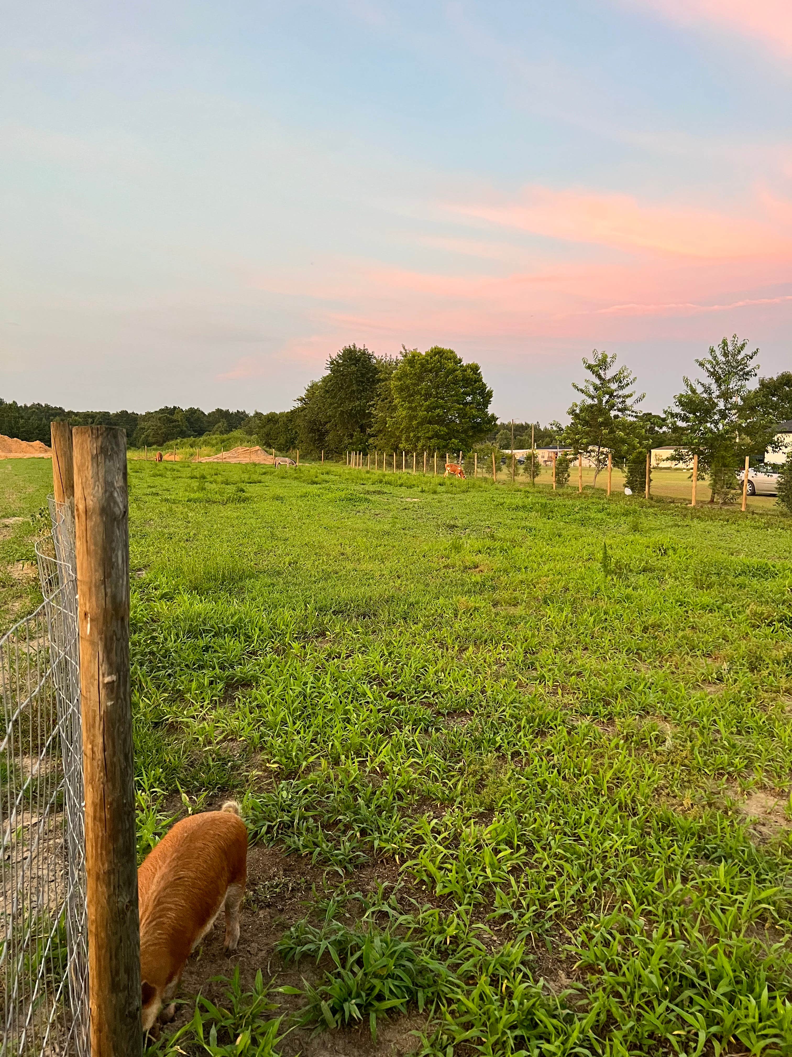 Camper-submitted photo at Outside Inn Campground near Orangeburg, SC