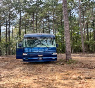 Camper-submitted photo from Outside Inn Campground