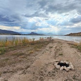 Review photo of Spring Creek Road Dispersed - Flaming Gorge by Michelle L., August 23, 2023