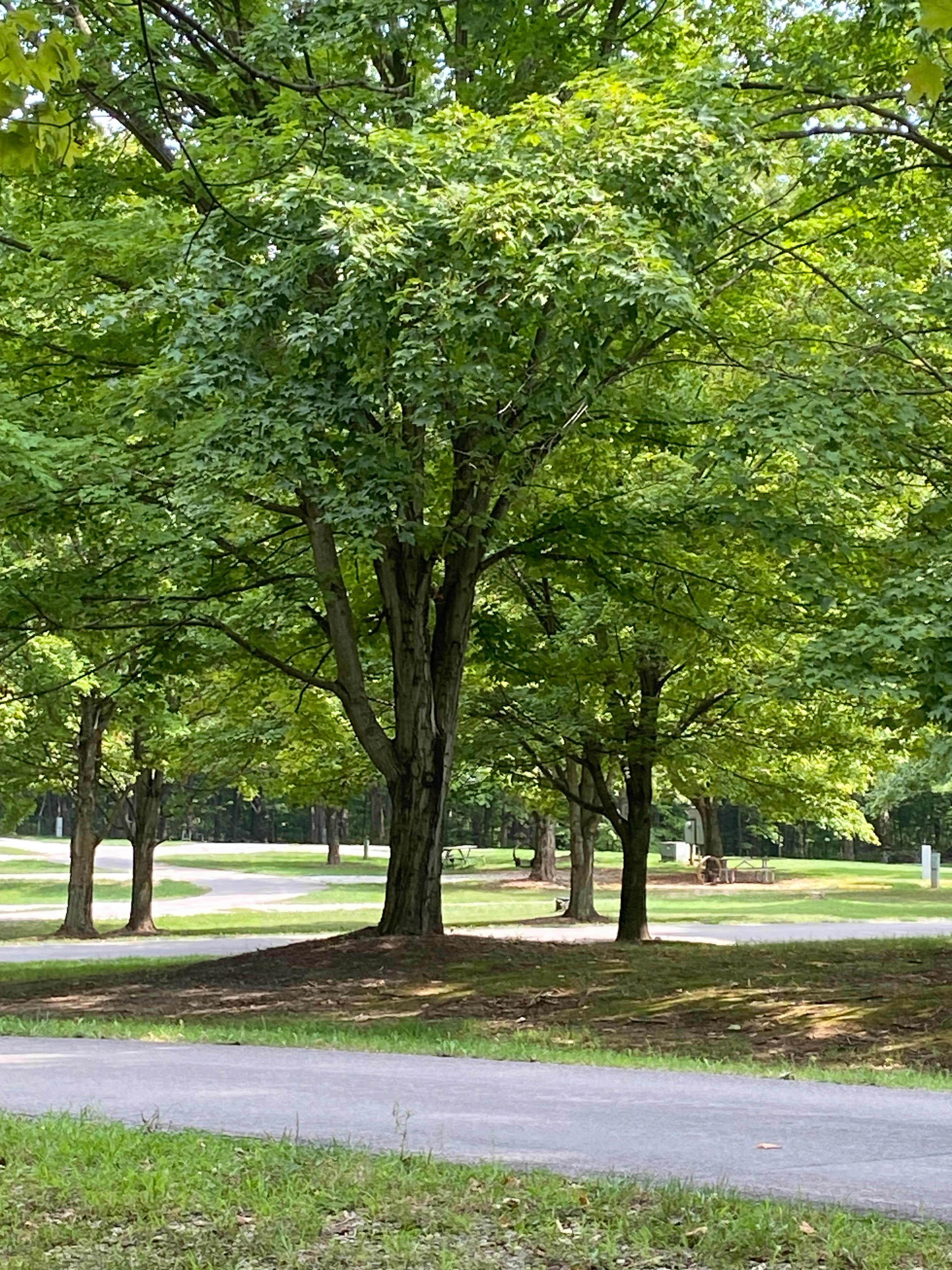Camper-submitted photo at Prairie Creek near Terre Haute, IN